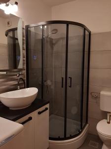 a bathroom with a shower with a sink and a toilet at Apartments with a parking space Mirca, Brac - 2838 in Mirce