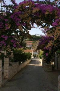 Fotografia z galérie ubytovania Apartments with a parking space Sutivan, Brac - 2842 v Sutivane
