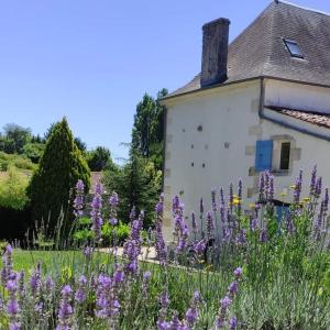un campo de flores púrpuras frente a un edificio en Villa Mamba, en Saint-Porchaire