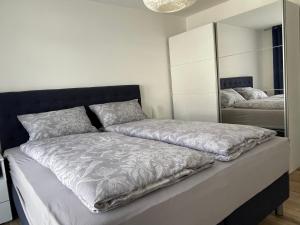 a bedroom with a large bed with a mirror at Ferienwohnung MaRe in Stockach