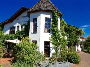 AylWeingut Raevenhof的常春藤的白色房子