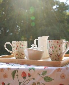 una bandeja con cuatro tazas de té en una mesa en Il Bosco e Il Borgo Guest House Subiaco en Subiaco