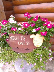 Fotografie z fotogalerie ubytování Chalet Le Paradou Adults only v destinaci Lessive