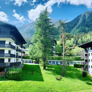 an apartment building with a tree in the yard at Charmant Studio tout confort au Brévent-Chamonix in Chamonix