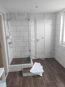 baño con ducha y puerta de cristal en Ferienwohnung Im Distelweg en Scheid