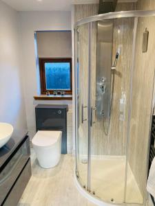 uma casa de banho com um chuveiro, um WC e uma janela. em Aonachan Cottage em Spean Bridge
