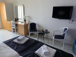 TV a/nebo společenská místnost v ubytování Alkyonides Boutique Hotel