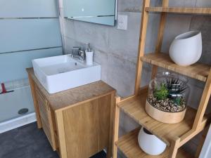 une salle de bain avec un lavabo et un miroir dans l'établissement Appartement Mâcon Centre T4 - 100m2, à Mâcon 15 autres photos