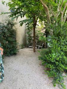 a garden with two chairs and a tree and bushes at Appartement eygalieres avec petit jardin in Eygalières