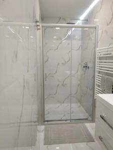 a shower with a glass door in a bathroom at Slnečný apartmánový dom Oslany in Oslany