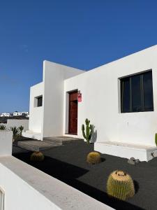 a white house with cacti in front of it at Casa Blanca Teguise in Teguise