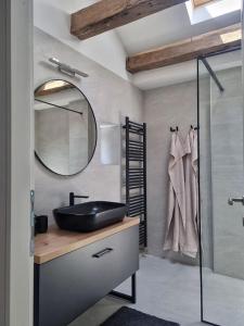 baño con lavabo negro y espejo en Central Park Apartments, en Bjelovar