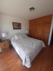 1 dormitorio con 1 cama grande y armario de madera en Apartamento San Martin, en Viña del Mar