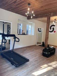 siłownia z bieżnią w pokoju z drewnianym sufitem w obiekcie Luxury Pyrenees Villa, Tourmalet, gardens, gym w mieście Adast