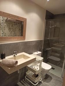 La salle de bains est pourvue d'un lavabo, de toilettes et d'une douche. dans l'établissement Apartamento independiente con jardín privado, à Oviedo