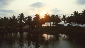 Gallery image of Sweet Valley Cottages in Arambol