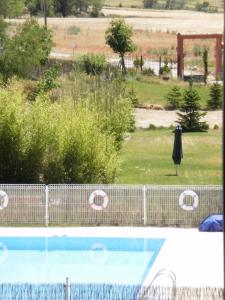 a person in a pool playing with a frisbee at Hotel Santa Coloma del Camino in Olmillos de Sasamón