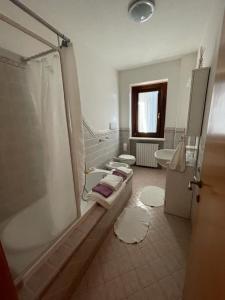 a bathroom with a shower and a sink and a toilet at Appartamento Mimosa in Ripa Teatina
