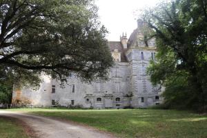 un viejo castillo con árboles delante de él en Gîte CLIMATISE les althéas, en Lanquais