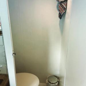 La salle de bains est pourvue de toilettes et d'un rideau de douche. dans l'établissement Cosy Caravan at Carrigeen Glamping, à Kilkenny