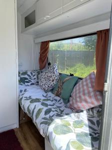 ein Bett in einem winzigen Haus mit Fenster in der Unterkunft Cosy Caravan at Carrigeen Glamping in Kilkenny
