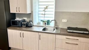 Kuchyň nebo kuchyňský kout v ubytování Apartmány Ellie