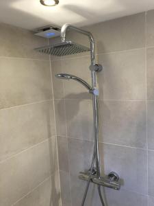 a shower with a shower head in a bathroom at Ferienhaus am Meer mit Kamin & Sauna - Seestern 251 in Julianadorp