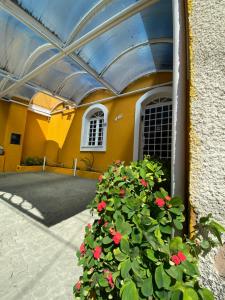 een plant met rode bloemen voor een gebouw bij Center 1 Hotel in Fortaleza