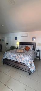 een slaapkamer met een groot bed in een kamer bij LA CASITA, Cute and Homey Private Studio in Miami
