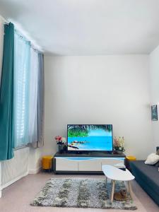 a living room with a large flat screen tv at LYON Full Entier Appartement in Lyon