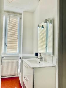 a white bathroom with a sink and a washing machine at LYON Full Entier Appartement in Lyon