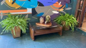 a table with plants on it next to a wall at Tropical Casa Ubatuba in Ubatuba