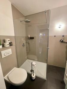 a bathroom with a toilet and a glass shower at Apartment threeRivers in Passau