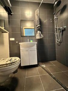 La salle de bains est pourvue de toilettes et d'un lavabo. dans l'établissement Albert 20 Brussels-charleroi-airport, à Charleroi