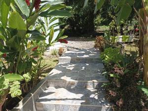 une passerelle en pierre dans un jardin avec des plantes dans l'établissement Bungalow Milo, à Bouillante
