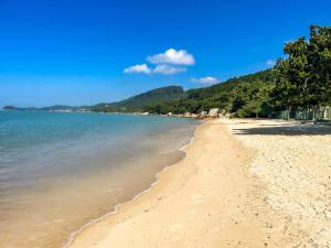 a sandy beach with trees and the water at Pousada Recanto das Flores in Governador Celso Ramos