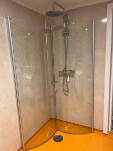 a shower with a glass door in a bathroom at Nørdre-Repp in Boverdalen