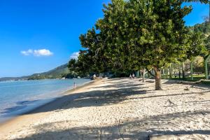 a beach with a tree and the water at Pousada Recanto das Flores in Governador Celso Ramos