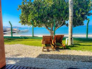 two chairs sitting under a tree near the beach at Pousada Recanto das Flores in Governador Celso Ramos