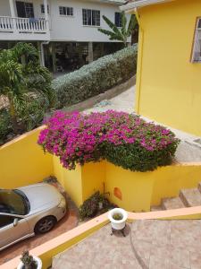 una pared amarilla con flores púrpuras y un coche en Casa De Amor Suites and Tours, 