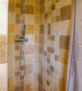 y baño con ducha y cortina de ducha. en Casa santoni 20, en Grosseto-Prugna