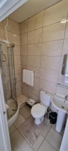 a bathroom with a toilet and a sink and a shower at Bloomsbury Apartments - Leicester in Leicester