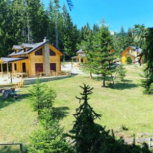 a log cabin in a field with a pine tree at Villat Shkreli Relax in Peje