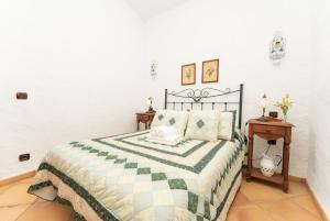 1 dormitorio con 1 cama con edredón verde y blanco en Casa Rural La Capellania en Granadilla de Abona