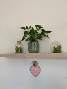 a shelf with a vase with a plant on it at Hugo Mews Bright Studio Apartment in Bray