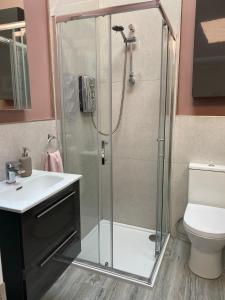 een badkamer met een douche, een wastafel en een toilet bij Hugo Mews Bright Studio Apartment in Bray