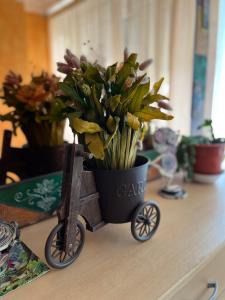 a plant in a cart sitting on a counter at Pensión A Pedra in Dumbría
