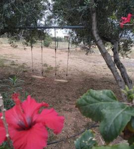 Afbeelding uit fotogalerij van sun and sea 1 in Elíka