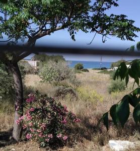 Afbeelding uit fotogalerij van sun and sea 1 in Elíka +34 foto's