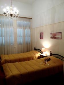Fotografie z fotogalerie ubytování Zeta's vintage garden house v destinaci Sparta